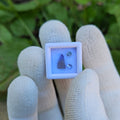 Tanzanite Natural unheated Crystal and Facet set.