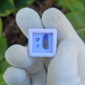 Tanzanite Natural unheated Crystal and Facet set.